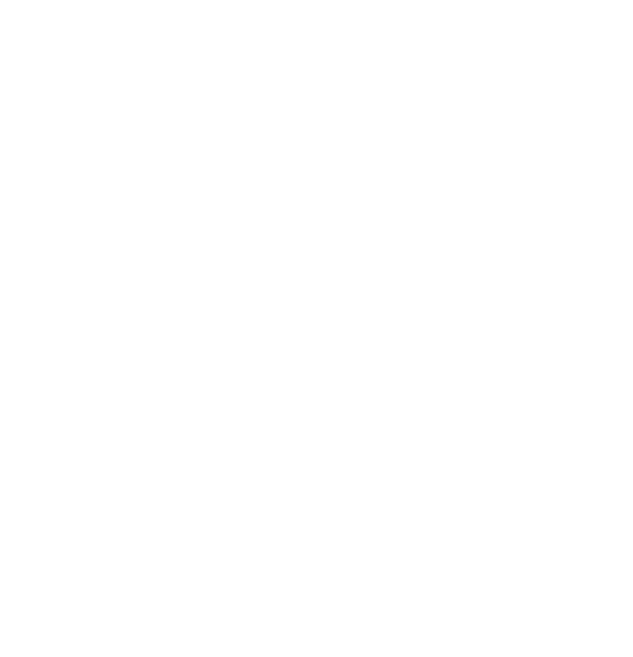 Pinoké logo